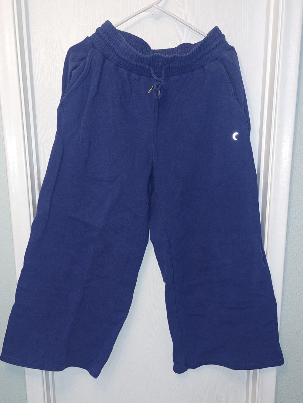 ZYIA Active Retreat Jogger In Purply-Blue, 26" Inseam Wide-Leg Sweatpants